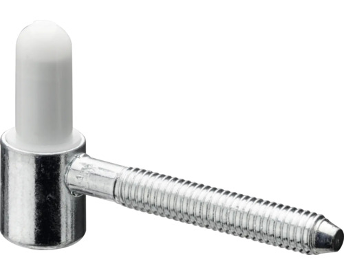 Deurhengs met bout en kunststof dop