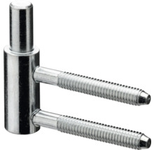 Inschroefbare scharnieren met bouten voor deuren