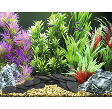 Decoratief aquarium met kunstplanten, stenen en vissen