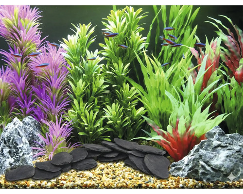 Decoratief aquarium met kunstplanten, stenen en vissen