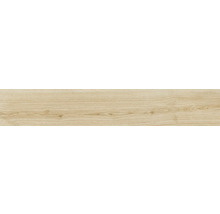 Houttegel met houtlook