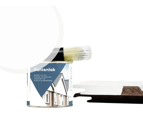 ESCADE Kantenlak wit RAL9016, 250ml Verfblik met gevelverf en kwast