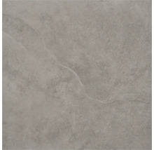 Keramische tegel met grijze betonlook, voorzien van fijne aders en een mat oppervlak.
