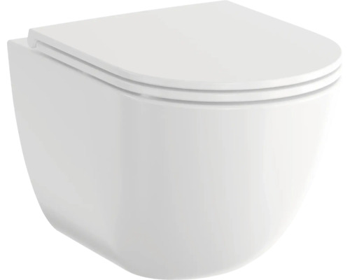 Hangtoilet met toiletzitting