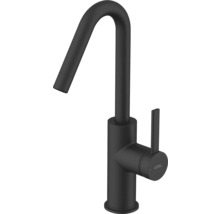 Avital keukenkraan met hoge uitloop