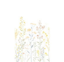 Illustratie van delicate wilde bloemen op een witte achtergrond