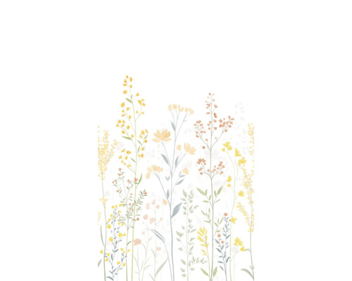 Illustratie van delicate wilde bloemen op een witte achtergrond