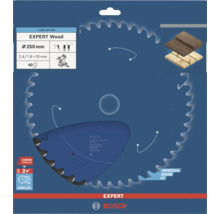 Bosch Expert houtzaagblad met een diameter van 250 millimeter