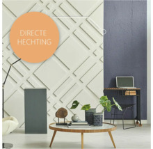 Woonkamer met driedimensionale wandpanelen en de tekst Directe Hechting