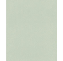 Behang met pleisterstructuur