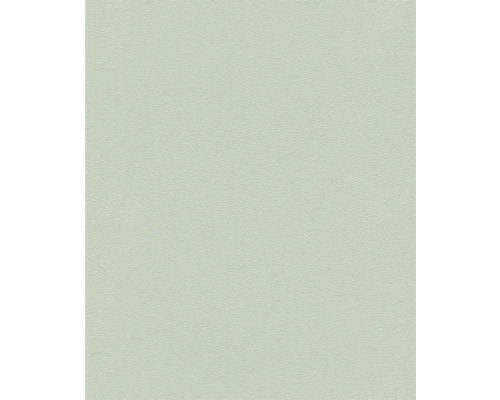 Behang met pleisterstructuur