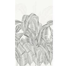 Illustratie van bananenbladeren als wanddecoratie