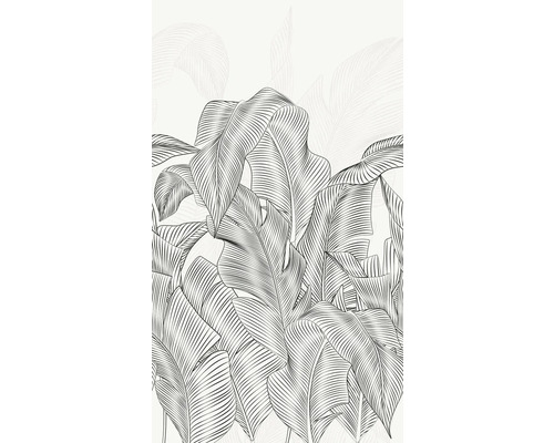 Illustratie van bananenbladeren als wanddecoratie