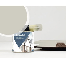 Verfblik randlak met kwast en kunststofpaneel