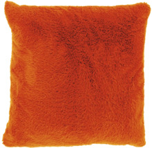 Decoratief kussen met bontuitstraling