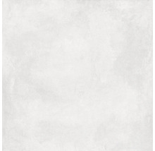 Lichte, rechthoekige vloertegel