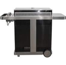 Gasbarbecue met opbergruimte en wielen