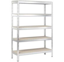 Metalen stellingkast met vijf legborden voor opslag