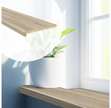 Decoratieve houten vensterbank met bloempot