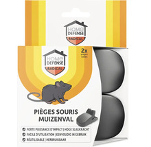 Verpakking van twee muizenvallen