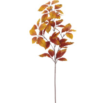 Kunstmatige beukentak met herfstbladeren.