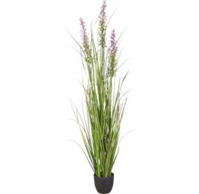 Kunstgrasplant met paarse bloempluimen in een zwarte pot.