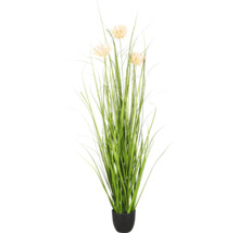Kunstgras plant met drie beige bloemen in een zwarte pot.
