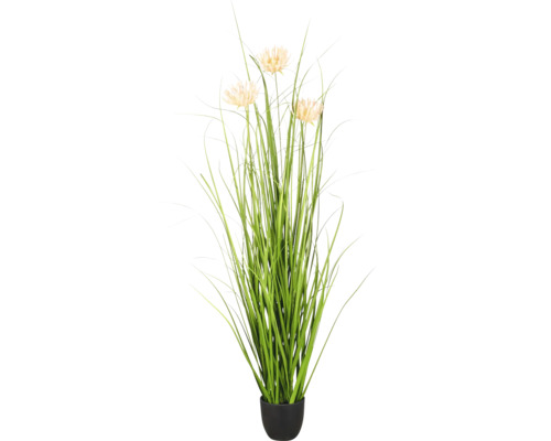 Kunstgras plant met drie beige bloemen in een zwarte pot.