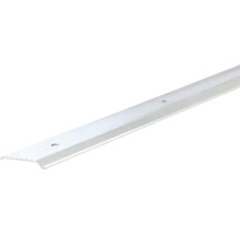 Aluminium trapkantprofiel met voorgeboorde gaten.