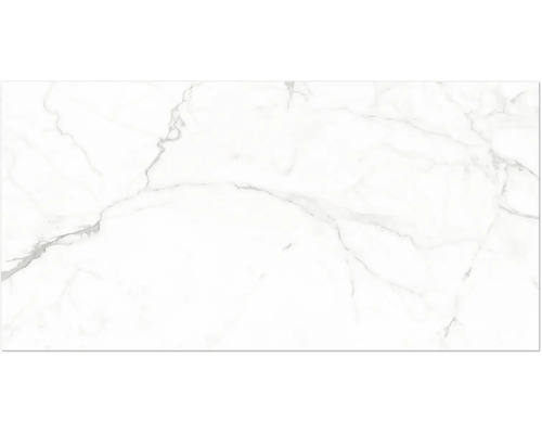 Porcellanato tegel met marmerlook en grijze aders voor vloer en wand.