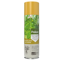 Pokon Bladglans voor kamerplanten, 250 ml