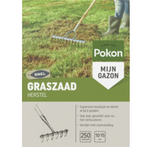 Pokon Graszaad Herstel voor circa 10 tot 15 vierkante meter, 250 gram, kiemt al bij 6 graden, afbeelding van gazon harken, Pokon Logo.
