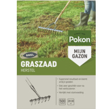 Pokon Mijn Gazon graszaad herstel voor 20 tot 30 vierkante meter, 500 gram, voor snel herstel na het verticuteren, kiemt vanaf 6 graden Celsius.