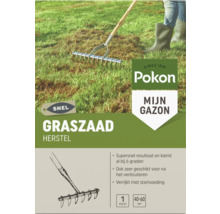 Verpakking van Pokon graszaad voor herstel, 1 kilogram voor 40 tot 60 vierkante meter. Afbeelding toont het harken van een gazon voor herstel.