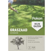 Pokon Mijn Gazon Graszaad Schaduw, 1 kilogram voor 40 tot 60 vierkante meter, voor aanleg en herstel van schaduwrijk gazon.