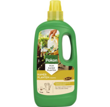 Pokon vloeibare kamerplantenvoeding BIO 1 liter fles met doseerdop voor gezonde groei en diepgroene bladeren.