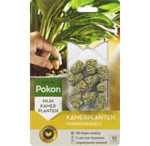 Pokon Kamerplanten Voedingskegels, langwerkende meststof voor 180 dagen voeding, 10 stuks.
