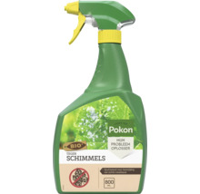 Pokon BIO Tegen Schimmels plantenspray, 800 milliliter spuitzwavel voor bestrijding van echte meeldauw op planten.