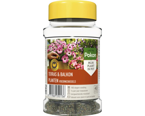 Pokon Terras en Balkon Planten Voedingskegels, 40 stuks, langwerkende voeding voor 180 dagen, voor planten in potten en borders.