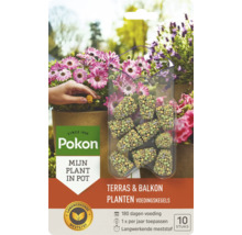 Pokon Terras en Balkon Planten voedingskegels, 10 stuks, voor 180 dagen langwerkende voeding voor planten in potten.
