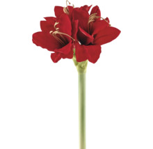 Kunstbloem amaryllis op steel, rood.