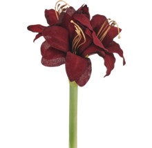 Kunstmatige amaryllis met donkerrode bloemen van textiel en een groene steel.
