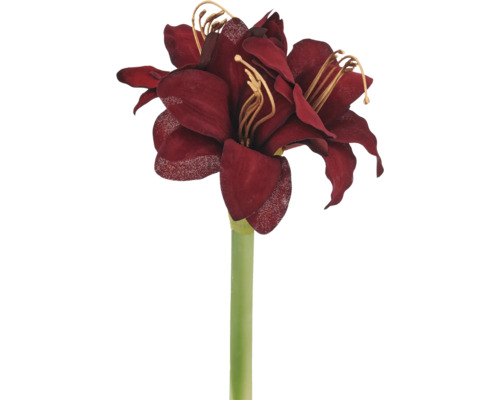 Kunstmatige amaryllis met donkerrode bloemen van textiel en een groene steel.