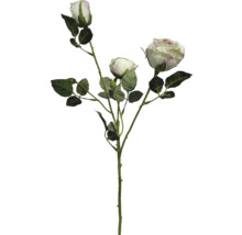 Kunstroos tak met drie crèmekleurige bloemen en groene bladeren.