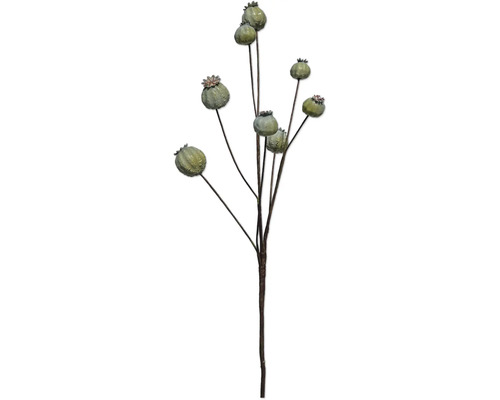 Kunstmatige decoratietak met groene papaverbollen aan bruine stengels.