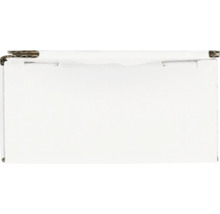 Witte kartonnen doos van golfkarton, zijaanzicht met sluiting aan de bovenzijde.