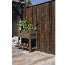 Een houten kweektafel met groene planten op een terras voor een donkere houten schutting.
