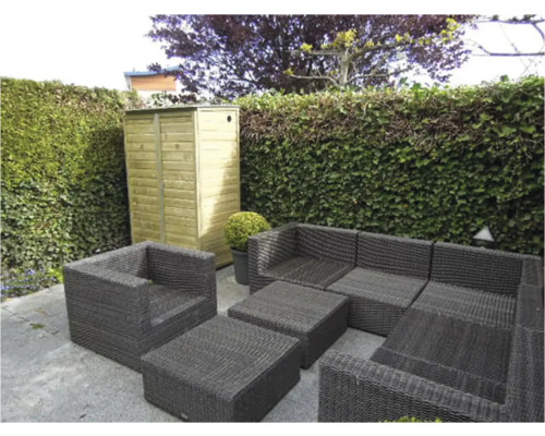 Tuinlounge set van grijs polyrotan en een houten tuinkast voor een groene heg op een stenen terras.