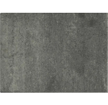 Rechthoekige terrastegel van steen of beton met een gestructureerd, donkergrijs en korrelig oppervlak.