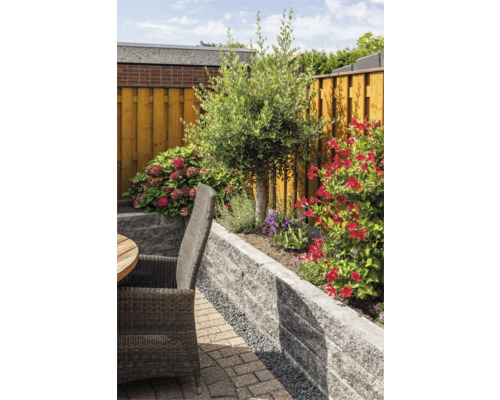 Terras met verhoogde plantenbak van grijze stenen, olijfboom, bloeiende planten, houten schutting en gevlochten tuinstoel.